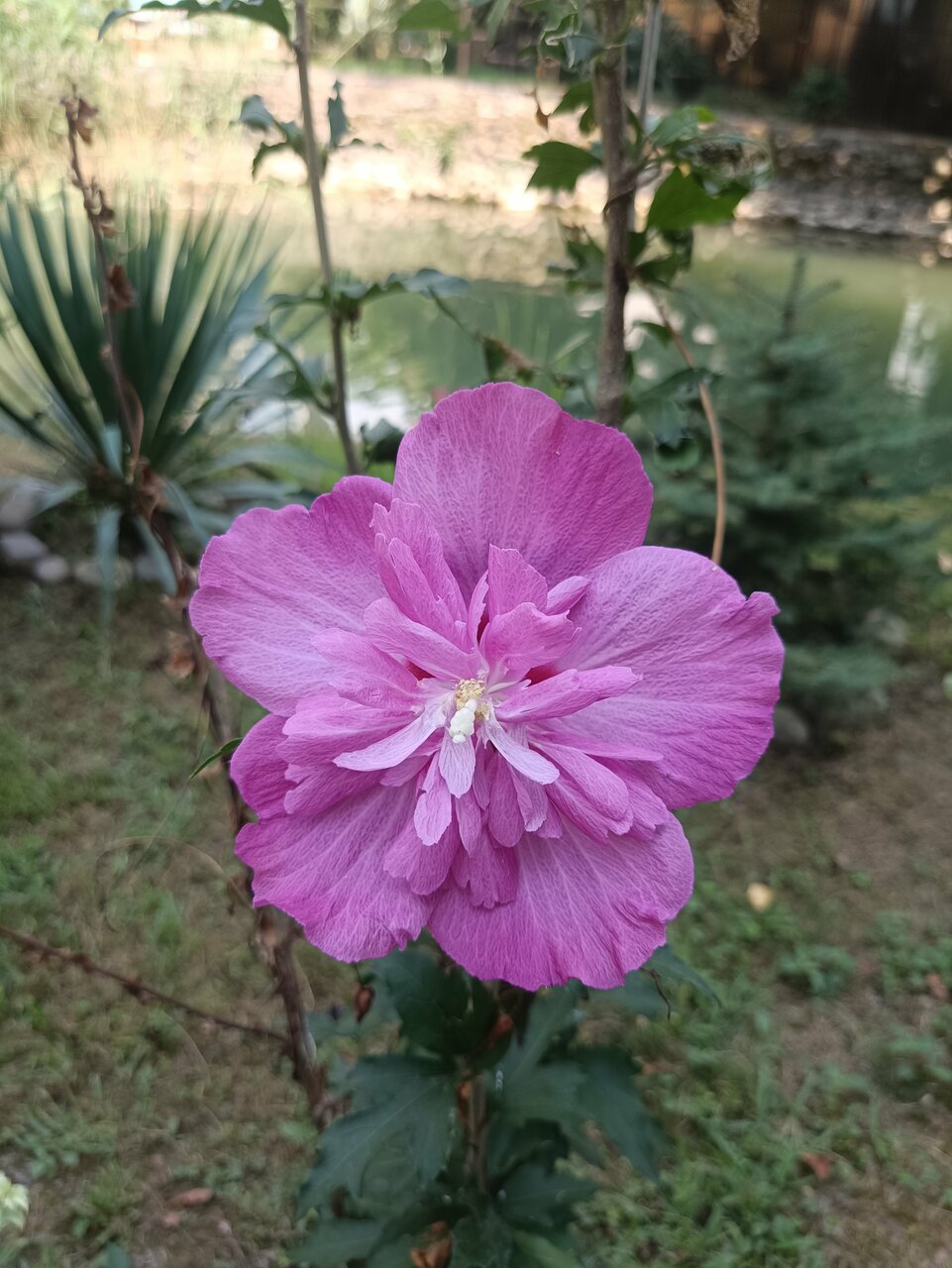 Гостиница Вилла Море Лазаревское-139