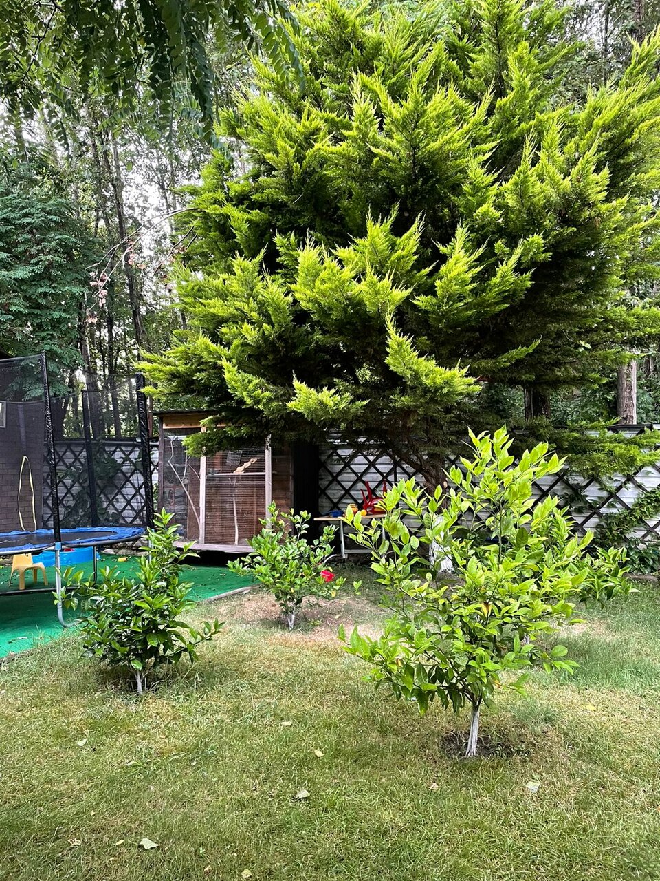 Гостиница Вилла Море Лазаревское-16