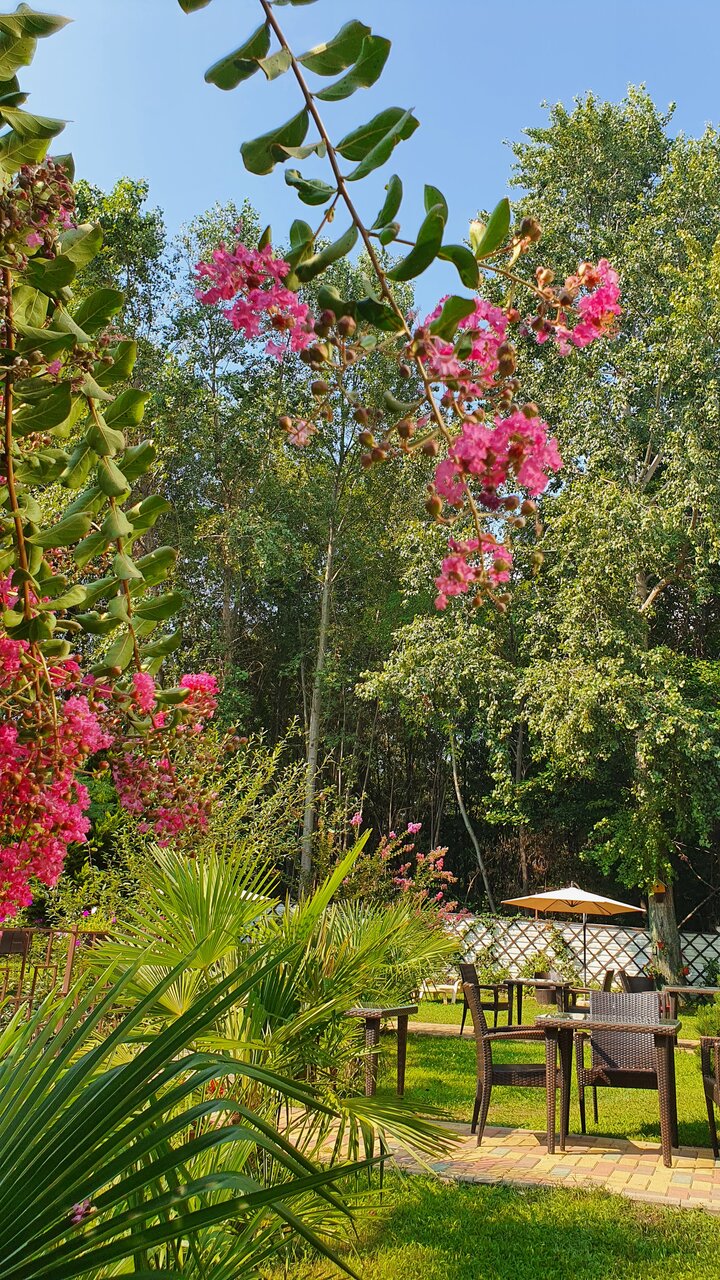 Гостиница Вилла Море Лазаревское-49