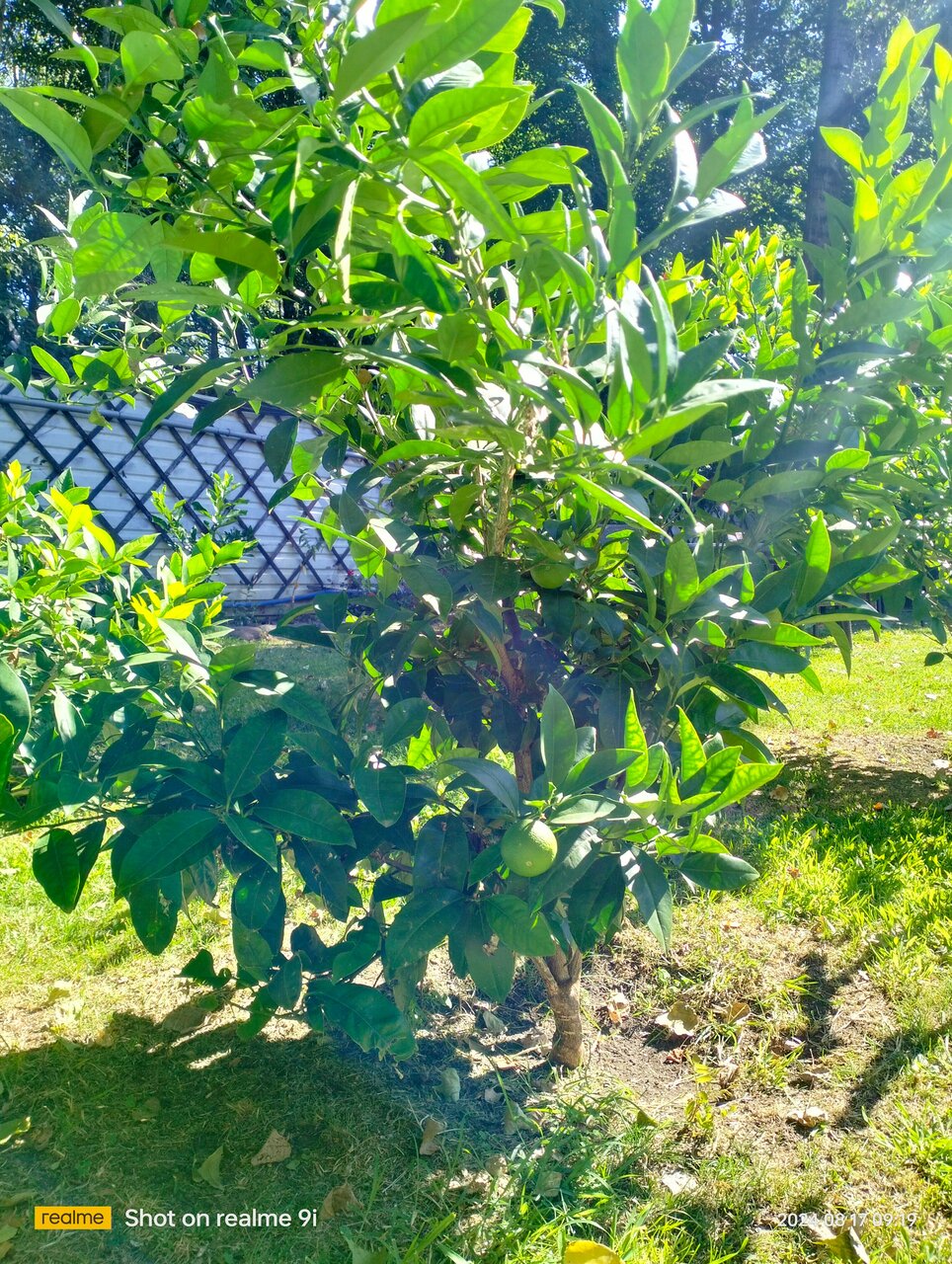 Гостиница Вилла Море Лазаревское-247