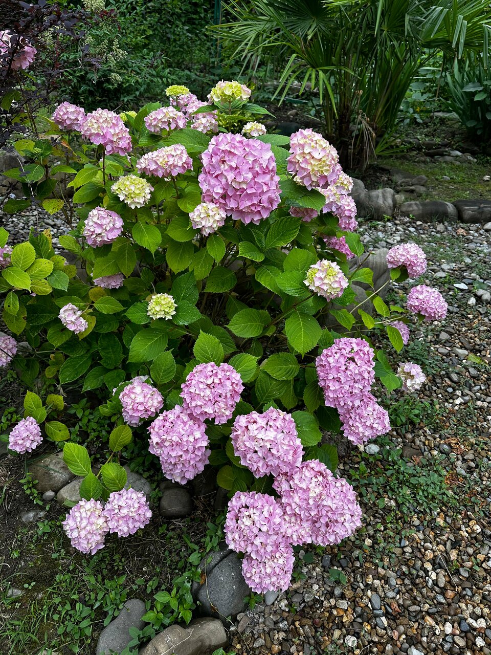 Гостиница Вилла Море Лазаревское-112