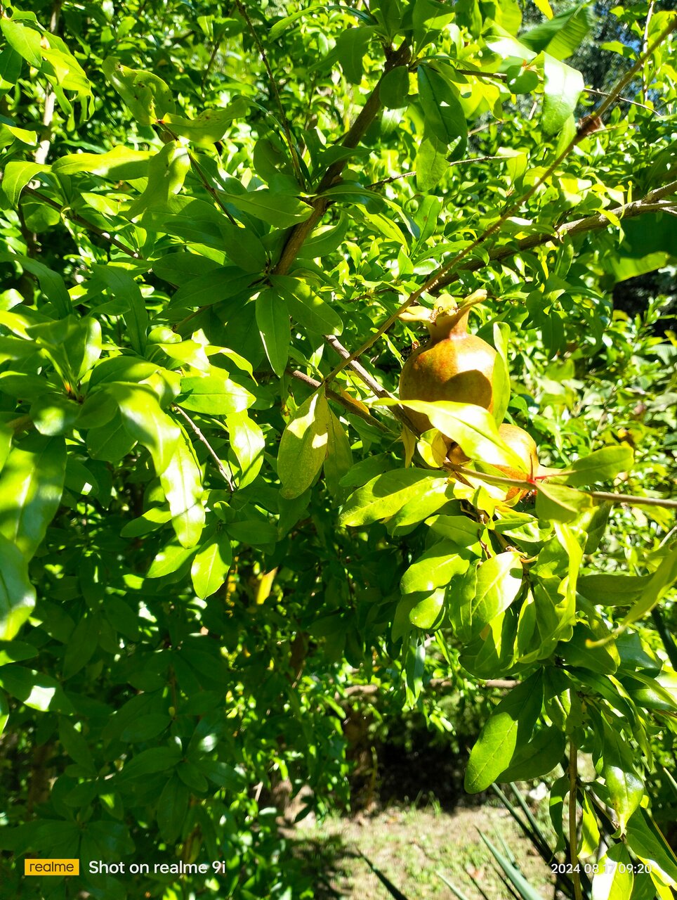 Гостиница Вилла Море Лазаревское-244