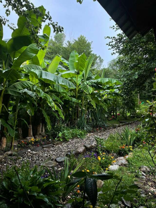 Гостиница Вилла Море Лазаревское-33