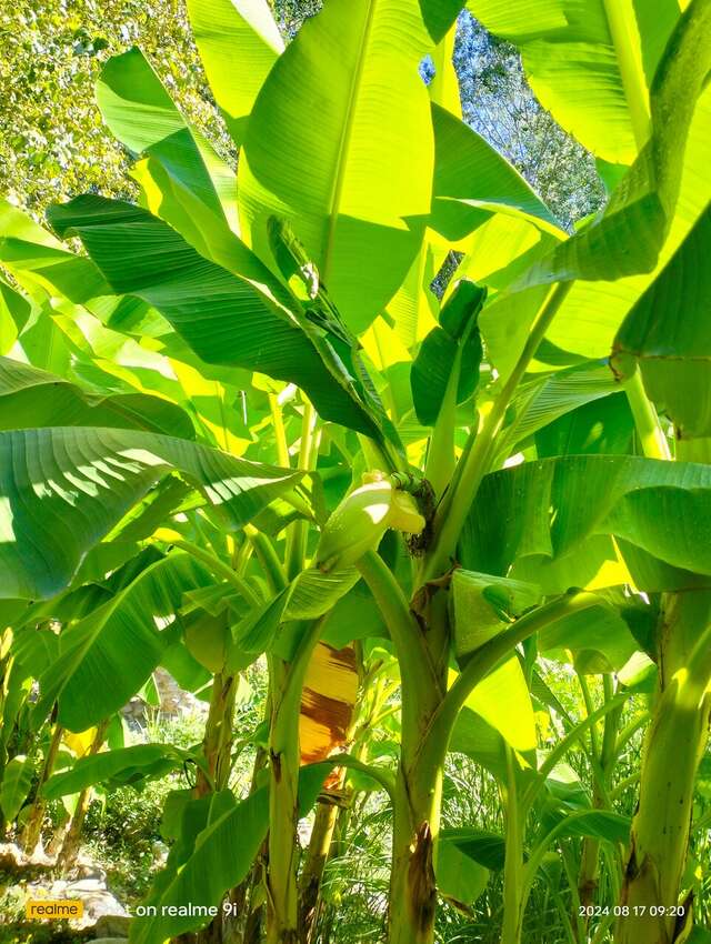 Гостиница Вилла Море Лазаревское-190