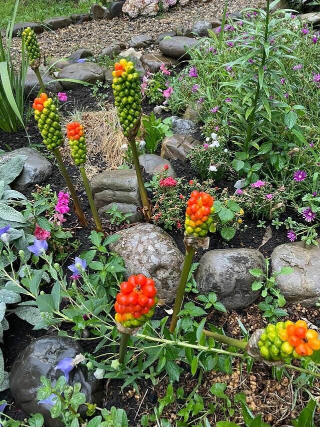 Гостиница Вилла Море Лазаревское-131