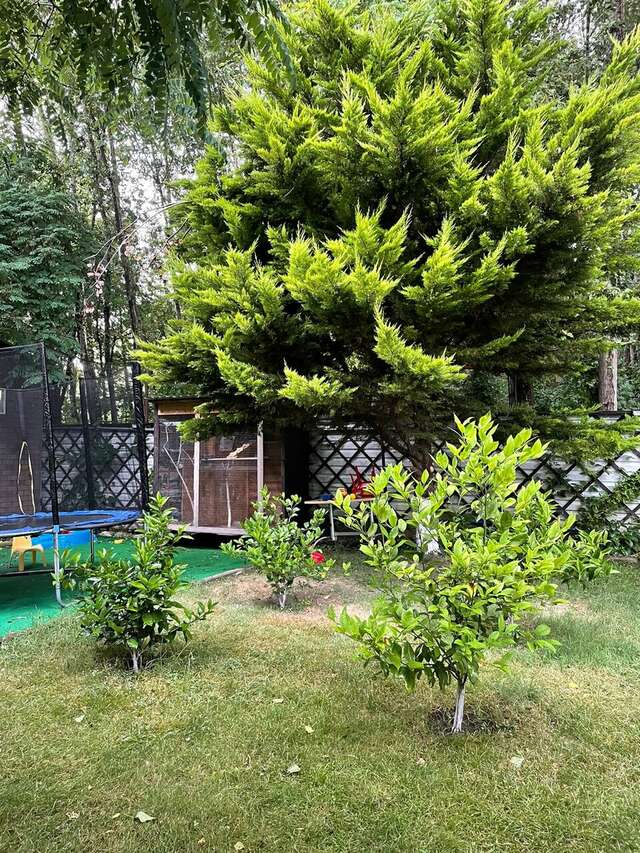 Гостиница Вилла Море Лазаревское-15