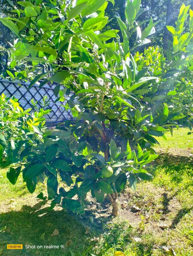 Гостиница Вилла Море Лазаревское-246